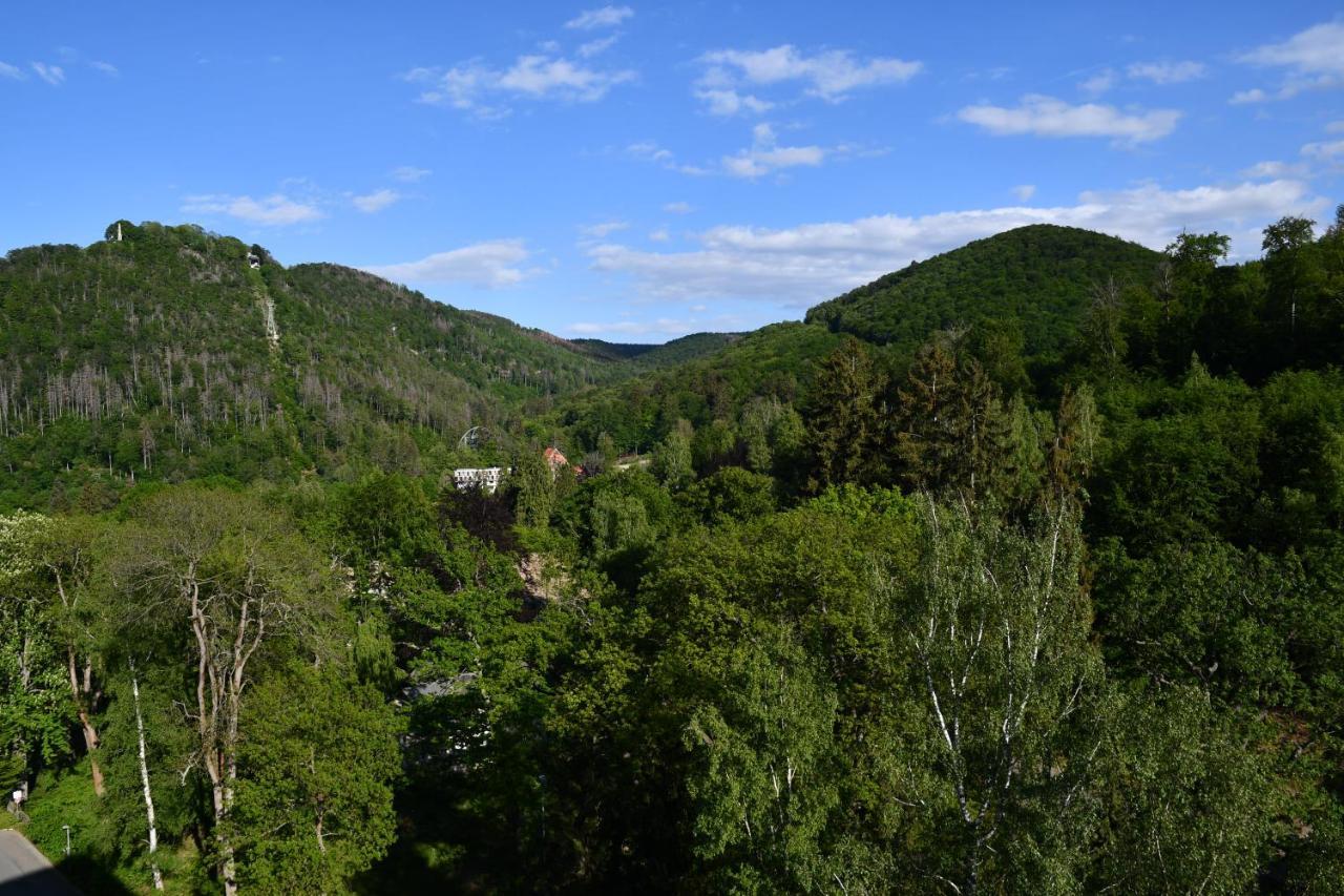 Apartmán Liebelei Bad Harzburg Exteriér fotografie